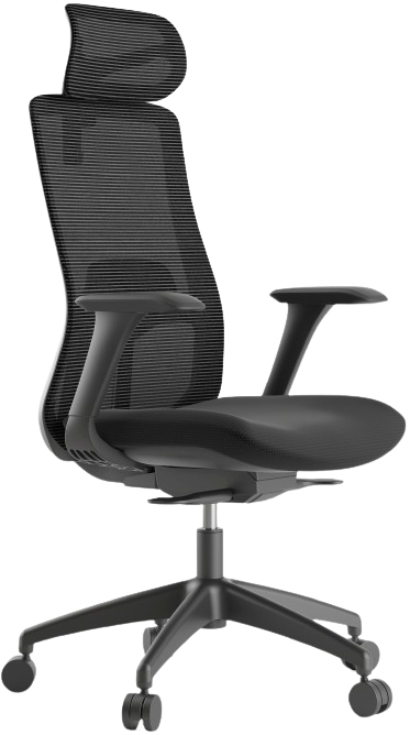 Kancelářská židle WISDOM, černý plast, černá